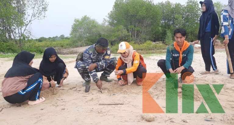 Peringati Hari Sejuta Pohon FRPB Dan TNI AL Tanam Cemara Udang di Pantai Jumiang
