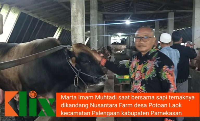 Nusantara Farm Beri Perawatan Ekstra Demi Menjaga Kualitas Daging Hewan Kurbannya