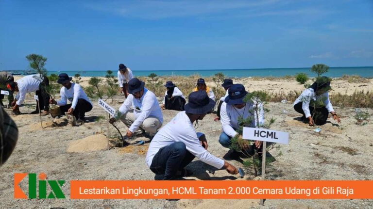 Lestarikan Lingkungan, HCML Tanam 2.000 Cemara Udang di Gili Raja